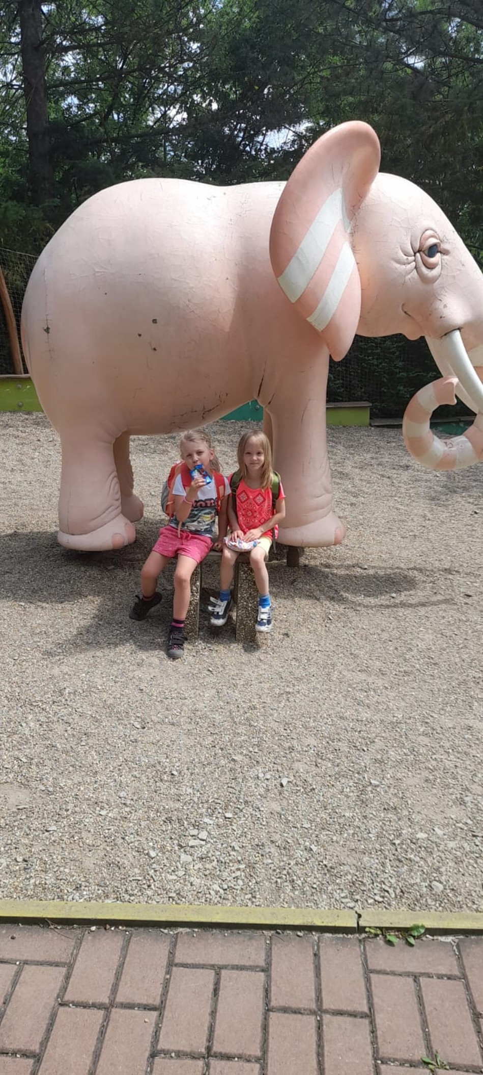 IMG-20230613-WA0055